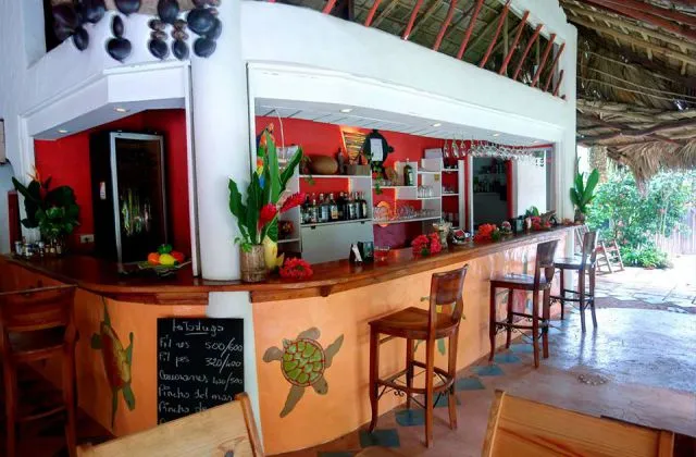Hotel Bar La Tortuga Las Terrenas Samana Republica Dominicana